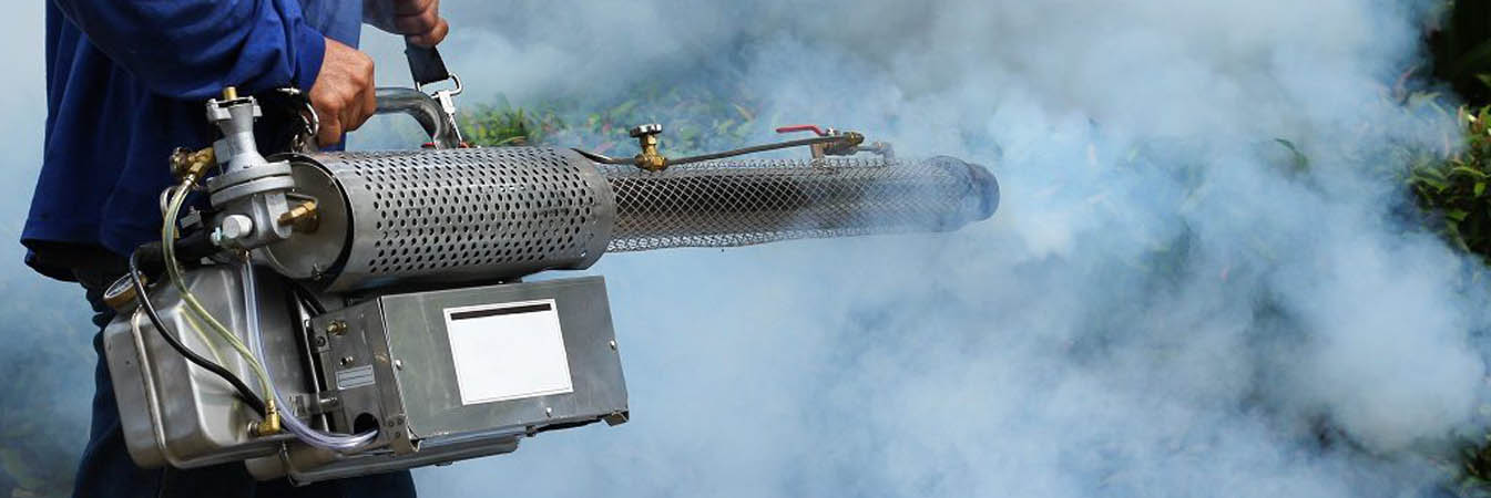 Mosquito Fogging
